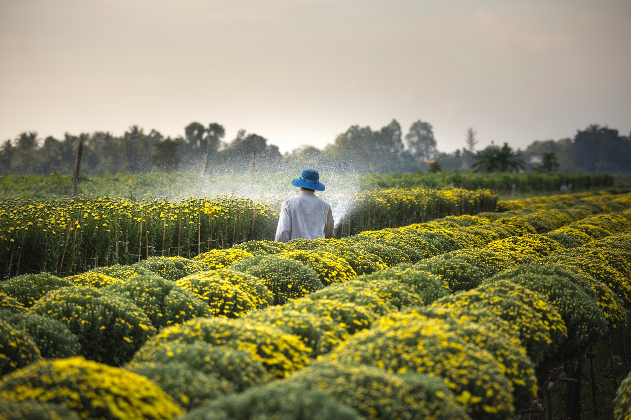 https://mailhost.horasis.org/wp-content/uploads/2021/09/pexels-quang-nguyen-vinh-2132250.jpg